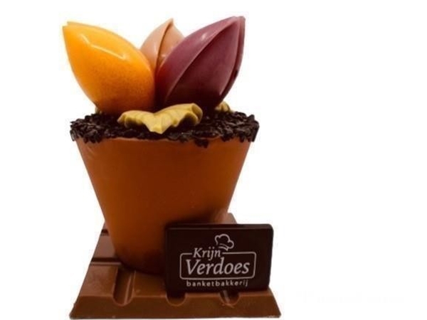 Tulpen potje
